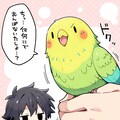 インコのぴーちゃん 10枚目
