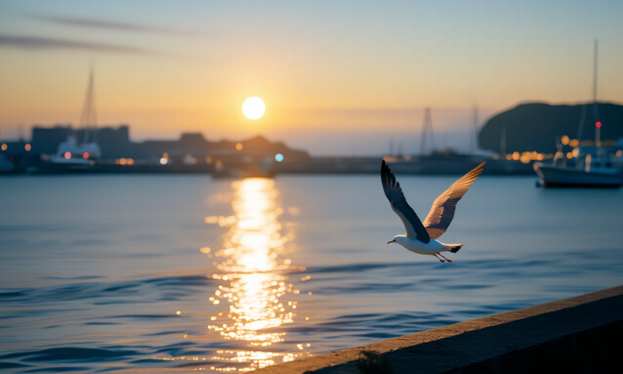 かもめが翔んだ日 | の人気AIイラスト・グラビア