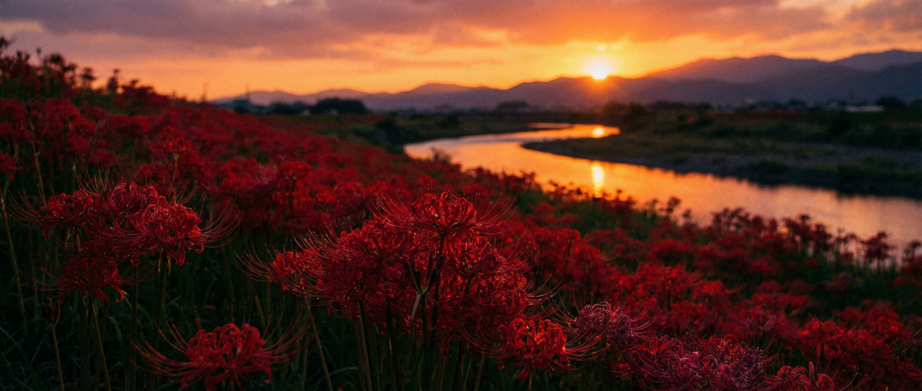 何となく彼岸花 | の人気AIイラスト・グラビア