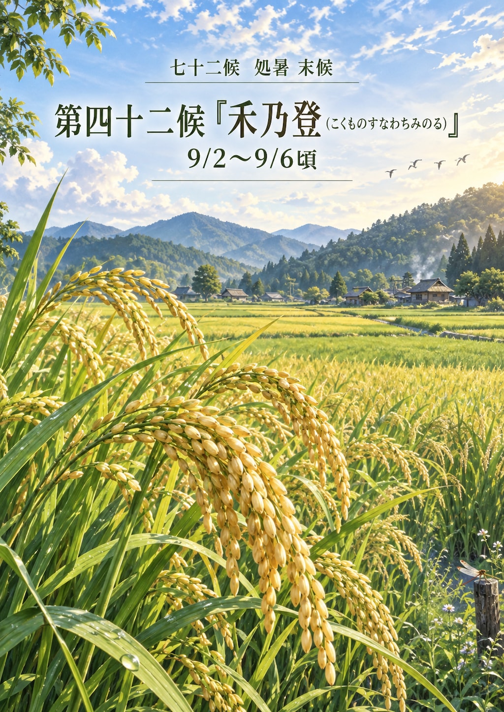 第四十二候「禾乃登 (こくものすなわちみのる)」 9/2～9/6頃
