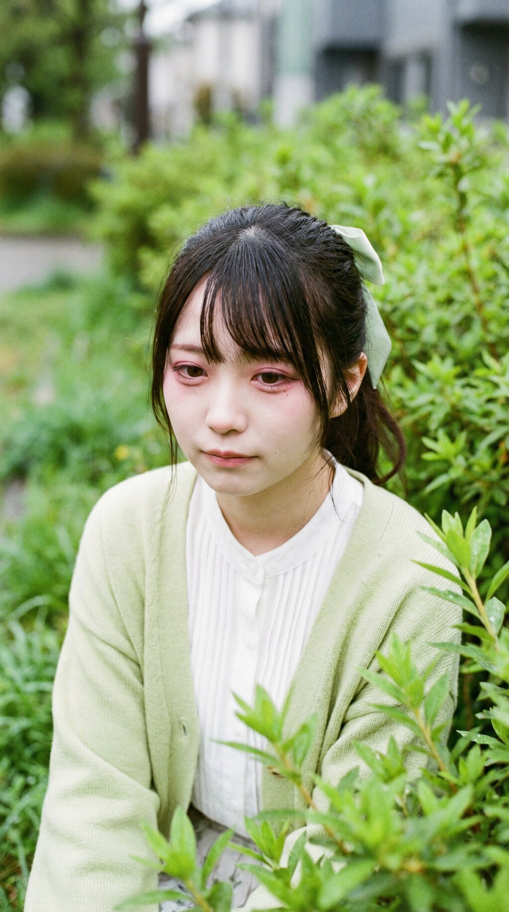 Spring Framed in Glass