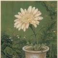 団子虫 害虫絵図 2枚目