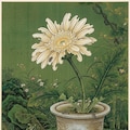 団子虫 害虫絵図 4枚目
