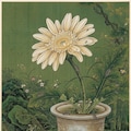 団子虫 害虫絵図 3枚目