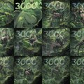 3000いいね！ありがとうございます。 2枚目
