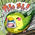 マッハインコ 3枚目