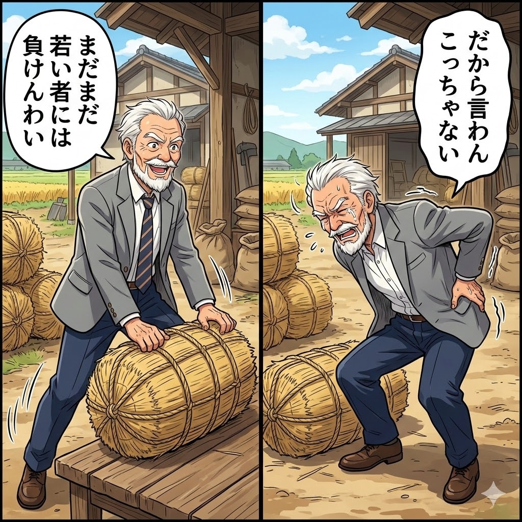 年寄りの冷や水