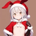 その２  丸出し逆衣装のサンタさん 3枚目