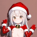 その２  丸出し逆衣装のサンタさん 2枚目