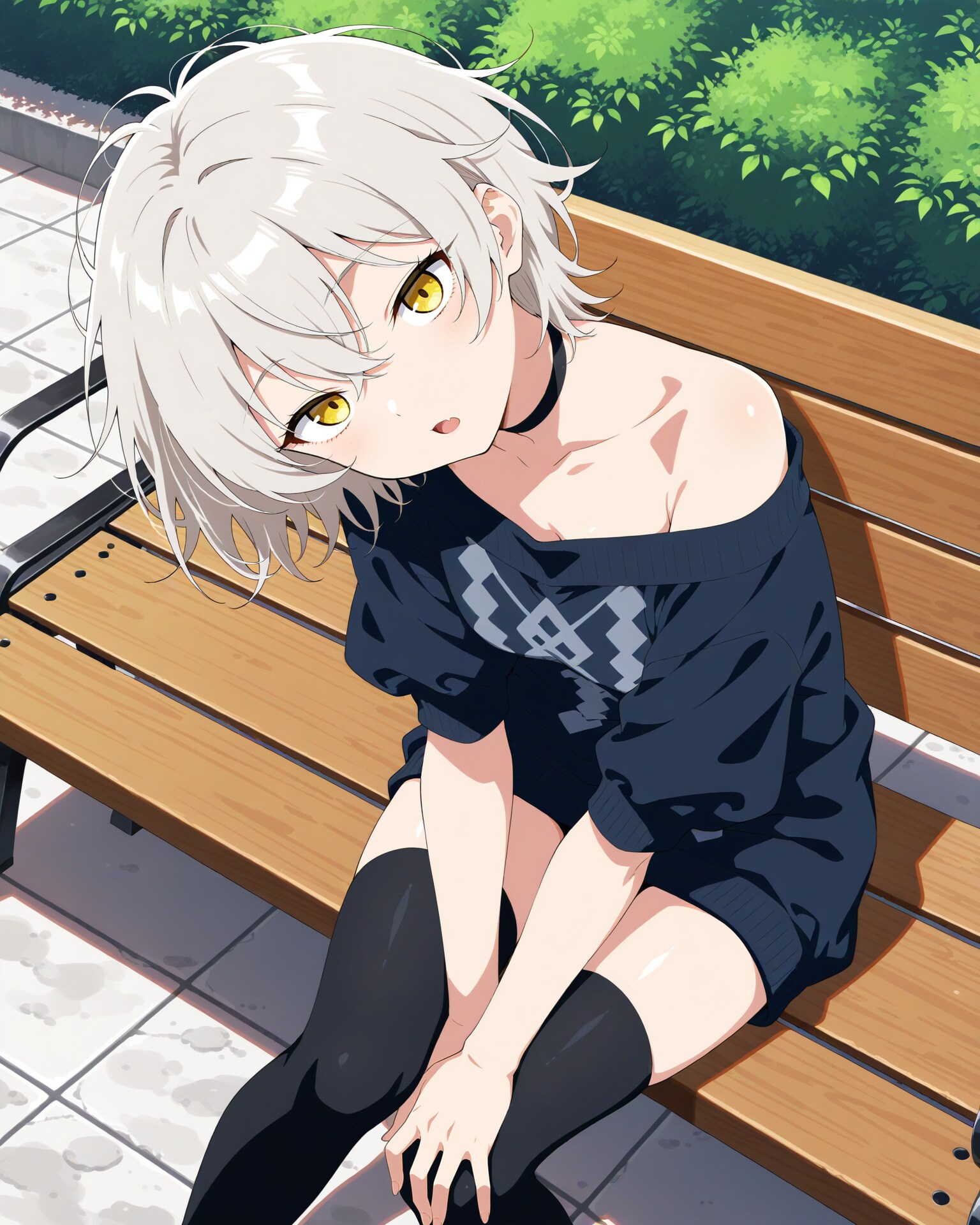 あまり日中に出歩かない子と散歩