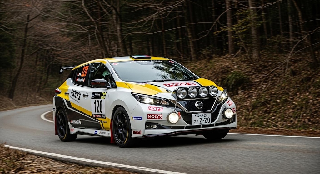 リーフラリーカー