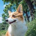 corgi 10枚目