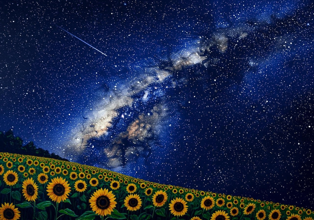 ヒマワリのある風景46・銀河