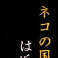ネコの国は・・・・ 3枚目