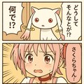 魔法少女まどか☆さくら03 4枚目