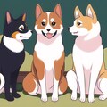 名無し26 6枚目