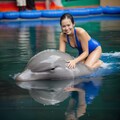 イルカとトレーナーの友情　Friendship between dolphin and trainer 2枚目