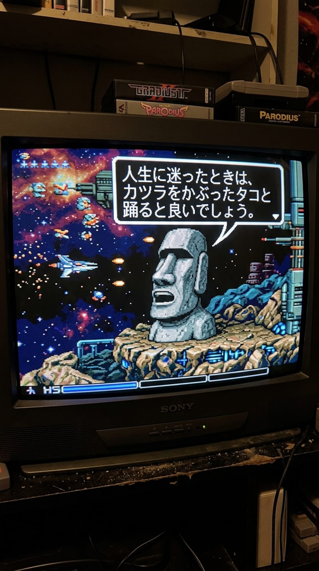 きょうのアドバイス