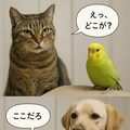 いぬとねこといんこ9 9枚目