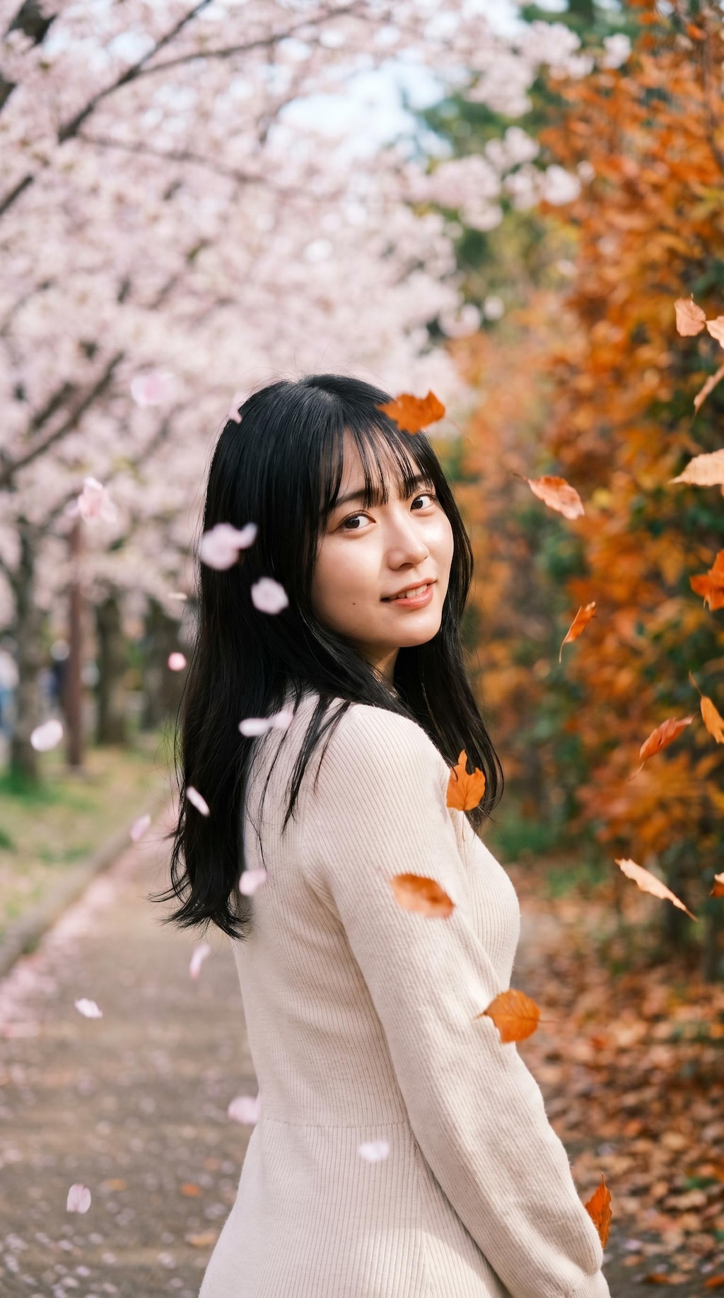 Between Cherry Blossoms and Maple Leaves