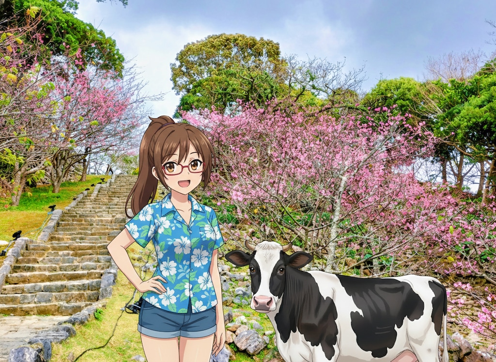 今帰仁(なきじん)城跡／沖縄／日本