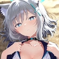 汗だく砂狼シロコ 2枚目