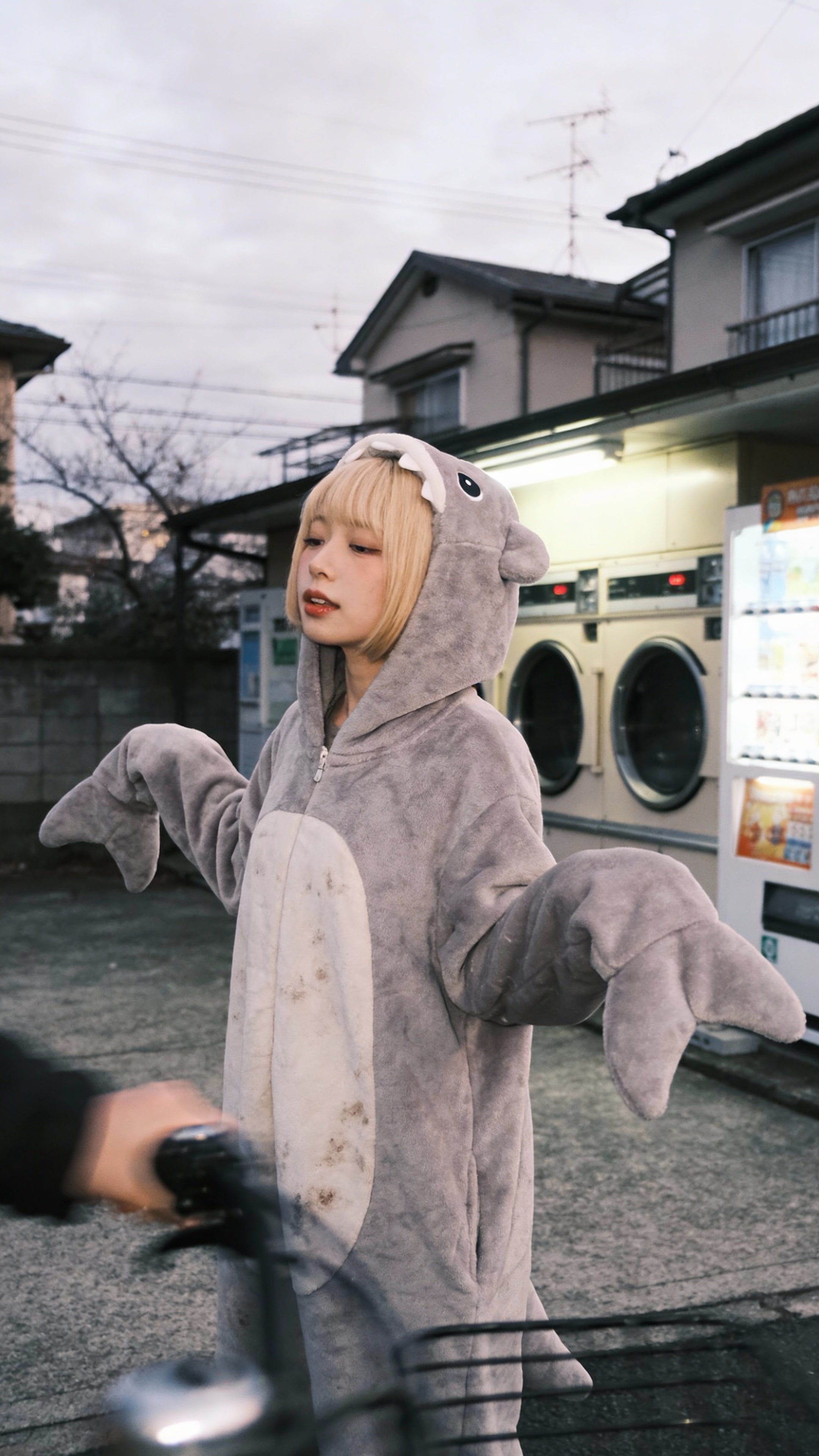 Morning Mist and Fleece Fins | の人気AIイラスト・グラビア