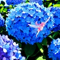 紫陽花と妖精 3枚目