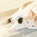 お昼寝 3枚目