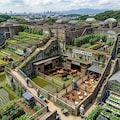 巨大迷路農園 7枚目