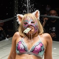 ファイトマネー 3枚目