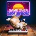レトロゲームをする猫 7枚目