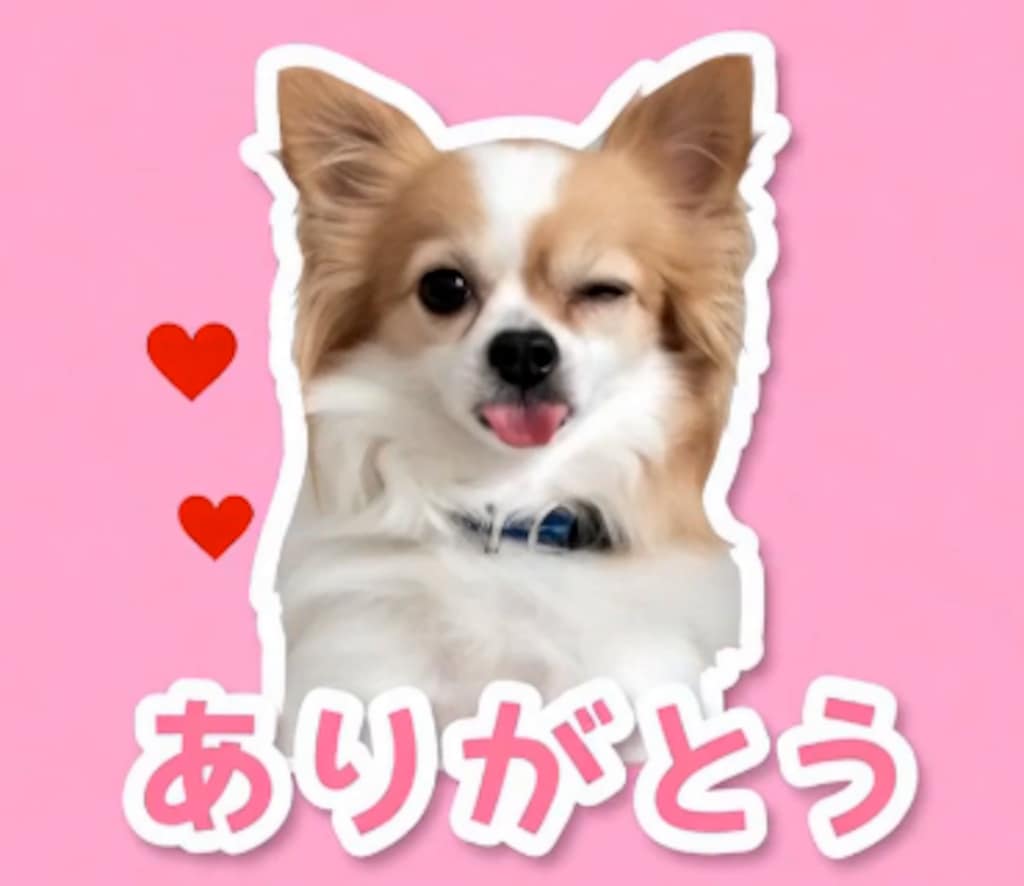 うちの犬りん