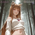 Holo(SpiceAndWolf) 2 6枚目