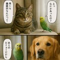 いぬとねこといんこ13 10枚目
