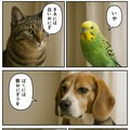 いぬとねこといんこ13 4枚目