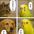 いぬとねこといんこ13 11枚目