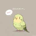 喋るインコ便乗 3枚目