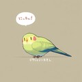 喋るインコ便乗 2枚目