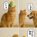 いぬとねこといんこ20 12枚目