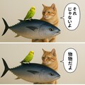 いぬとねこといんこ20 7枚目
