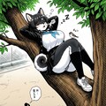 樹上の黒柴 2枚目