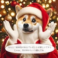 お題：クリスマス（柴サンタのメリークリスマス） 2枚目