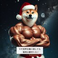 お題：クリスマス（柴サンタのメリークリスマス） 7枚目