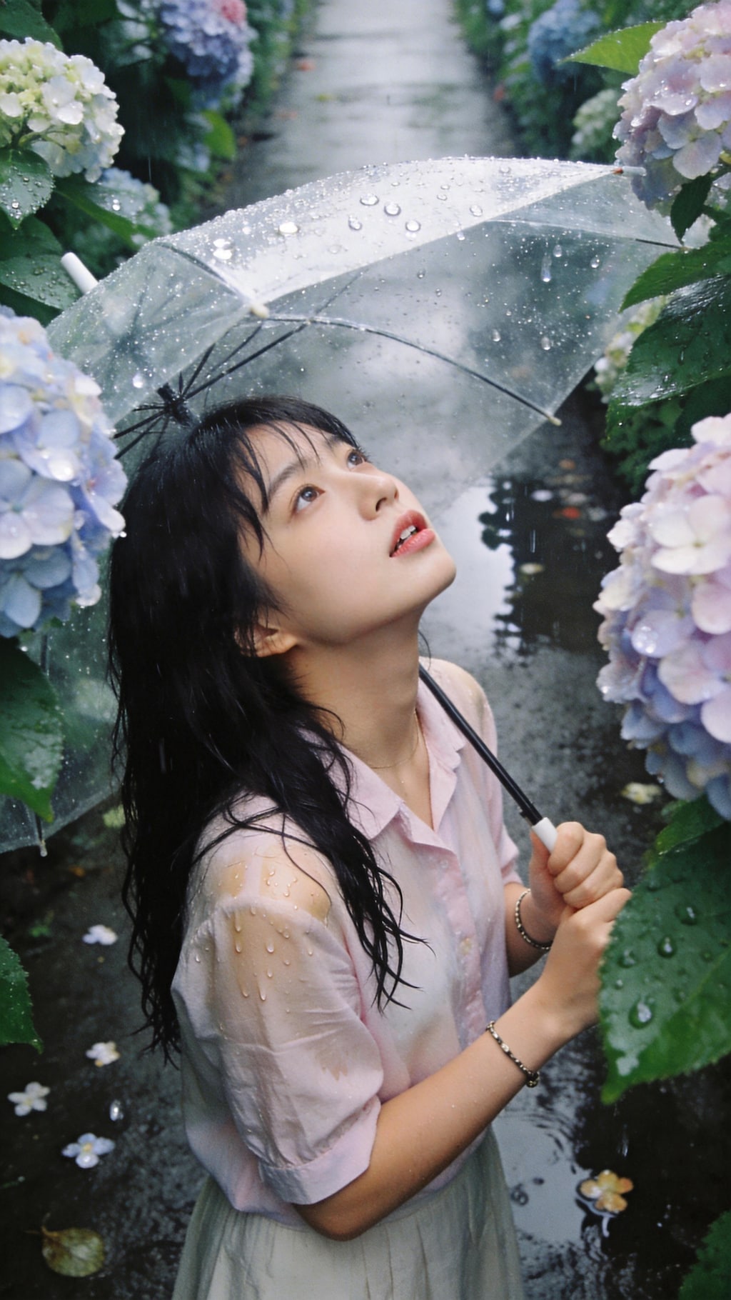 Tears of the Hydrangea