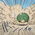 高速亀 9枚目