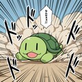 高速亀 10枚目