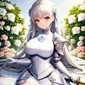 白薔薇の少女騎士 6枚目