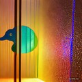 Duck in frosted glass 5枚目