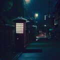 誤解された日本の電話ボックス 3枚目